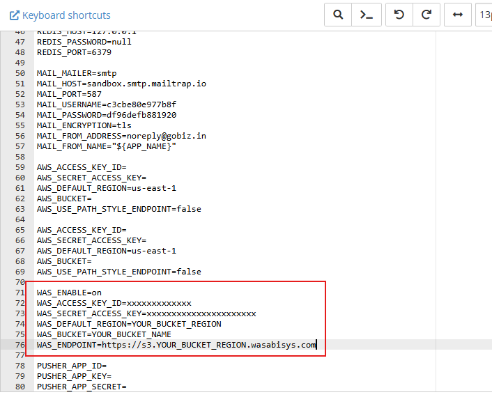 Wasabi .env Config